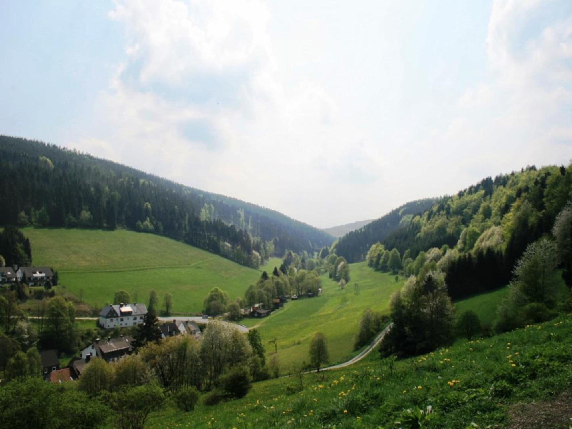 Large Holiday Home In Willingen With Private Garden And Several Terraces Екстериор снимка
