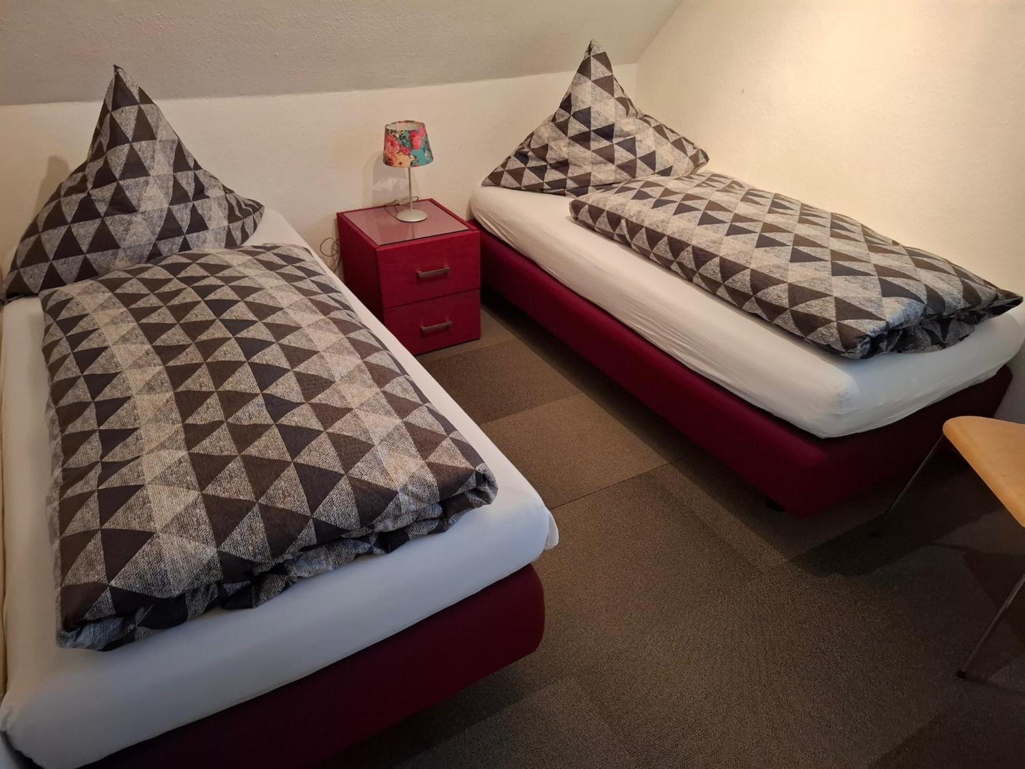 Large Holiday Home In Willingen With Private Garden And Several Terraces Екстериор снимка