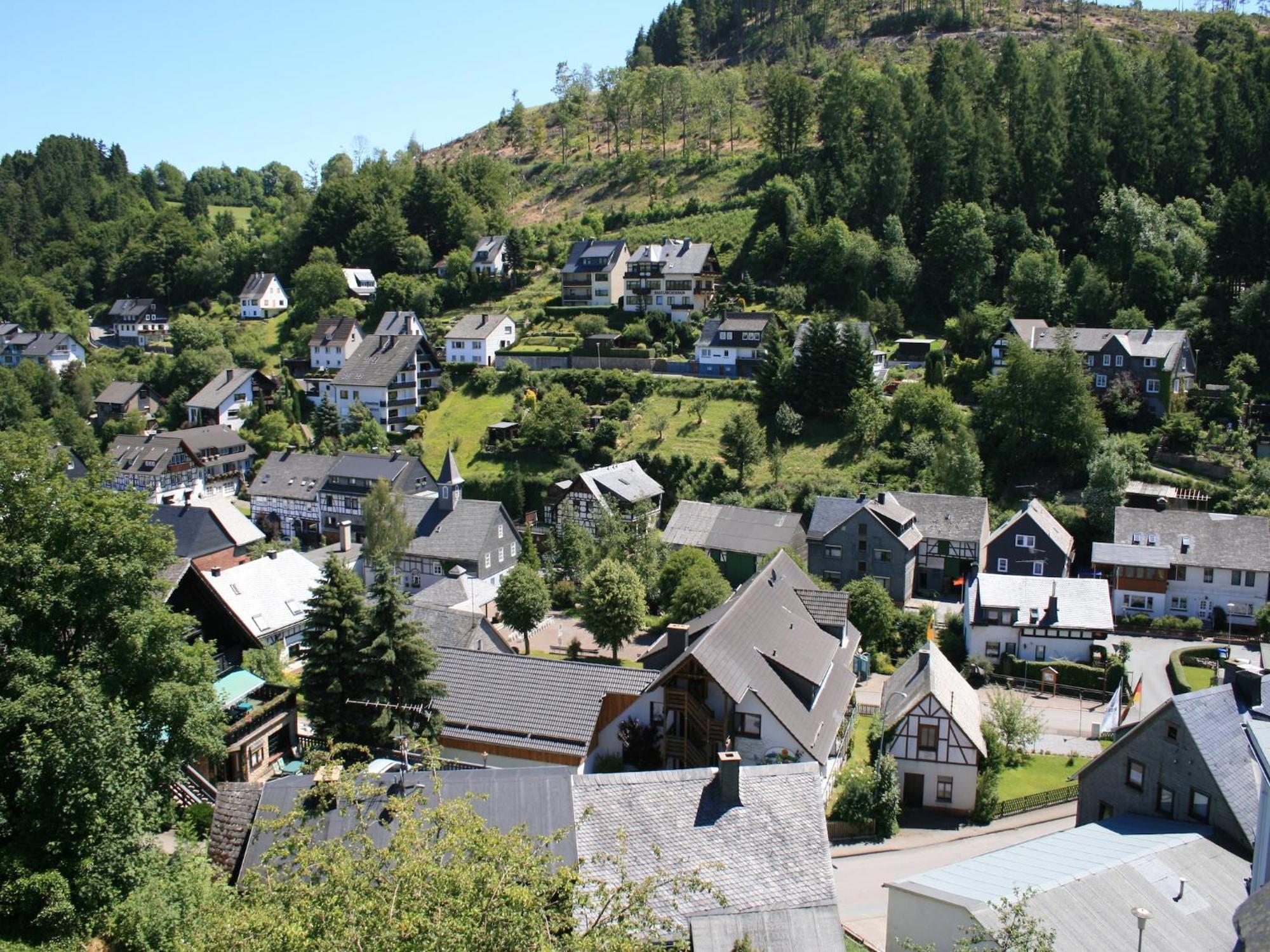 Large Holiday Home In Willingen With Private Garden And Several Terraces Екстериор снимка